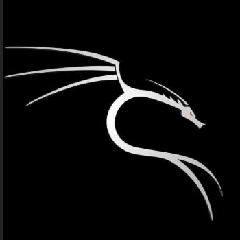 飞龙Logo